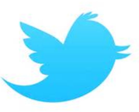 Twitter Logo