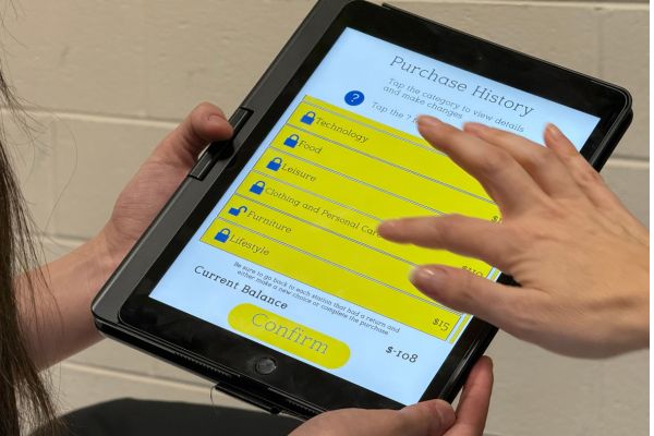 Financial Reality Fair App