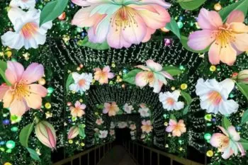 Grand Rapids Lantern Festival