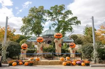 Zoo Boo